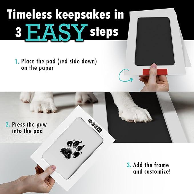 Paw Print Kit